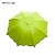 Зонт изменяющий рисунок под дождем